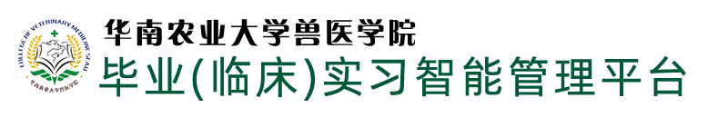 beat365实习管理平台