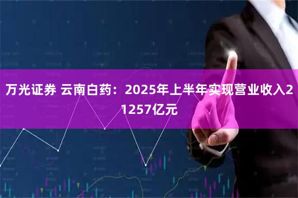 万光证券 云南白药：2025年上半年实现营业收入21257亿元
