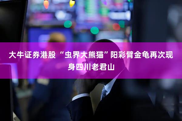 大牛证券港股 “虫界大熊猫”阳彩臂金龟再次现身四川老君山